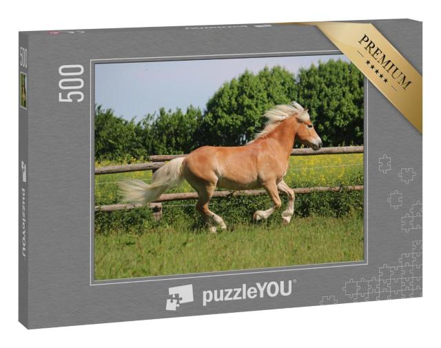 Puzzle 500 Teile „Wunderschönes Haflingerpferd auf der Koppel“