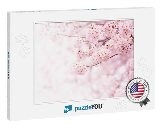 Cherry Blossom in Full Bloom. Cherry Flowers in Small Clu... Jigsaw Puzzle