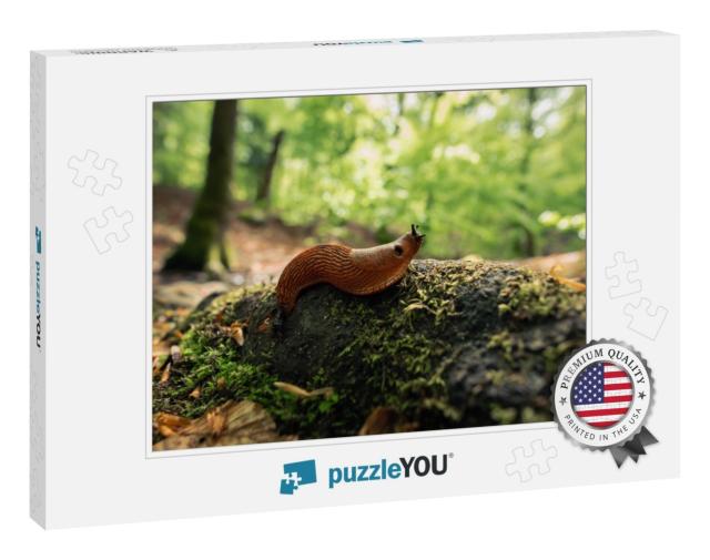 Long Snail on the Green Forest Floor... Jigsaw Puzzle