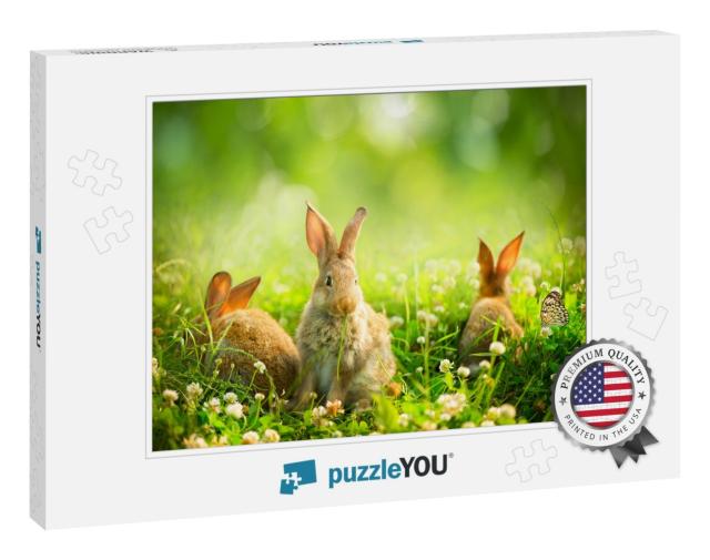 Rabbits. Beauty Art Design of Cute Little Easter Bunny in... Jigsaw Puzzle