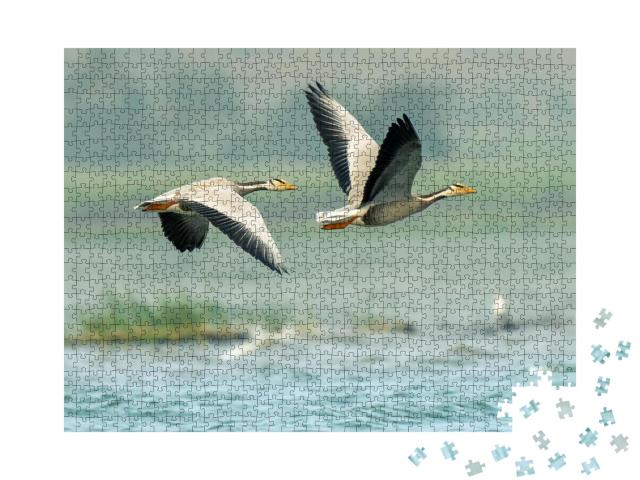 Puzzle 1000 Teile „Blässgänse über den Seen von Bhigwan, Indien“