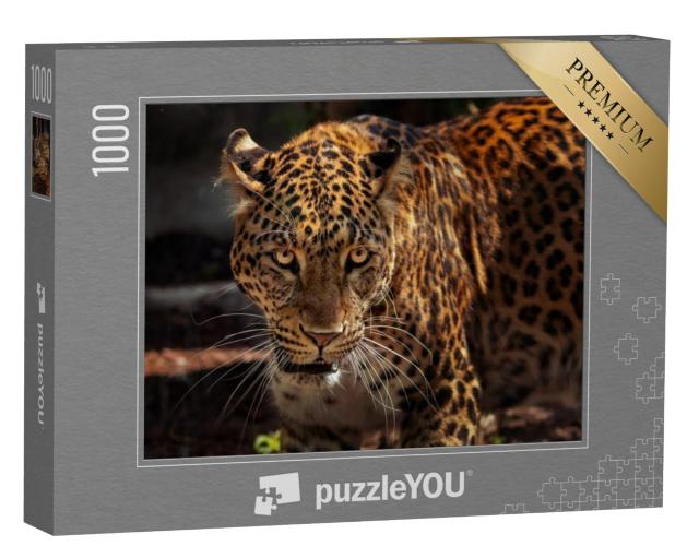 Puzzel 1000 stukjes „Beeld van een sterke jaguar als jager“