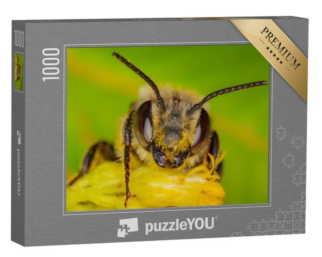 Puzzel 1000 stukjes „Een wilde bij verzamelt stuifmeel, Quebec, Canada“