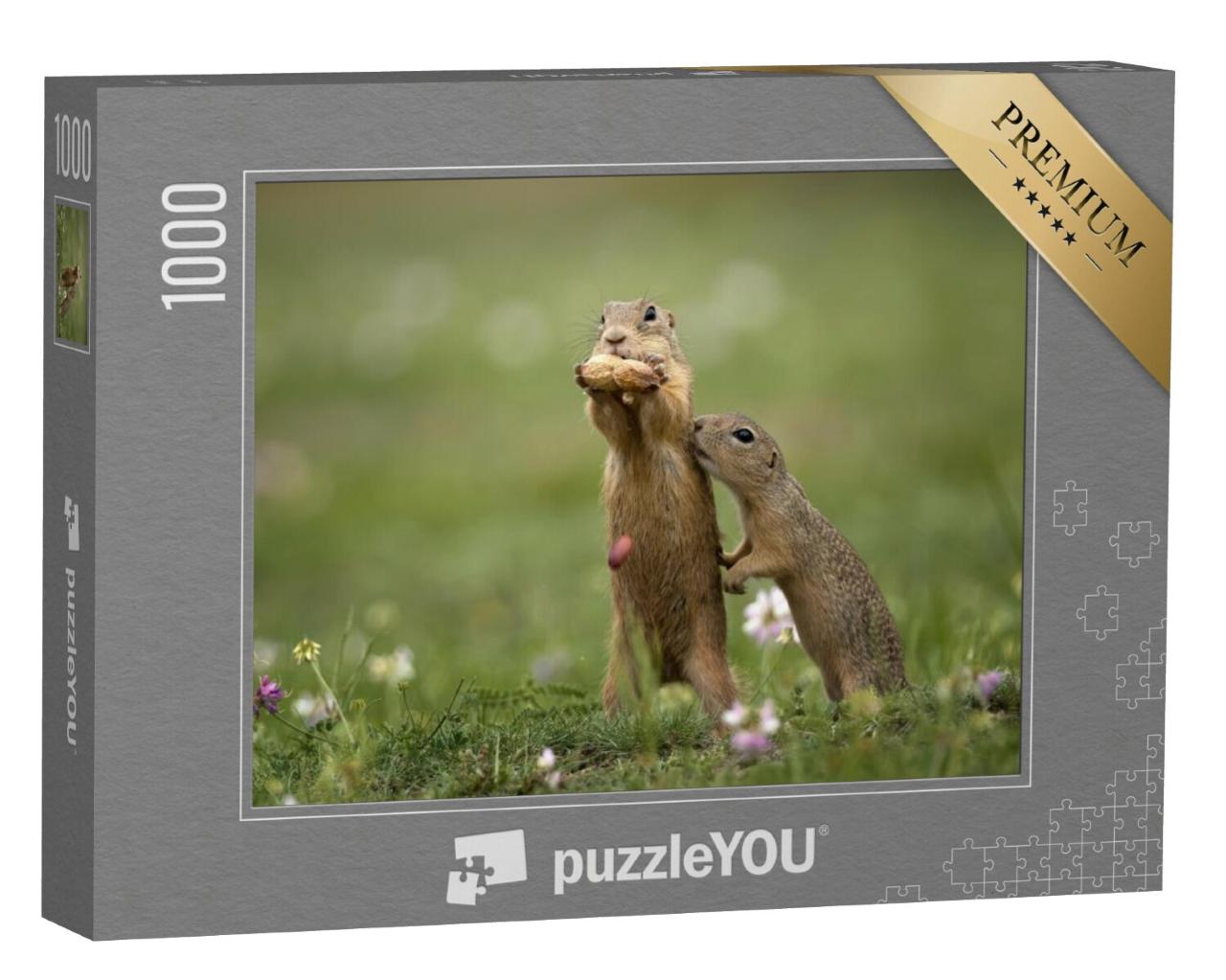 Puzzel 1000 stukjes „Grondeekhoorn vlakbij op een zomerweide met gras“