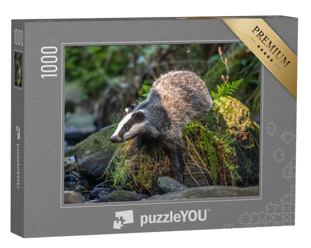 Puzzel 1000 stukjes „Een das in een bos in Duitsland“