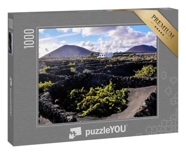Puzzle 1000 Teile „Weinberge von La Geria, Lanzarote, Kanarische Inseln, Spanien“