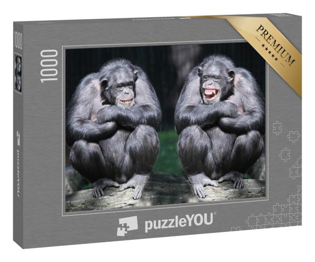 Puzzle „Zwei Schimpansen in Nahaufnahme“