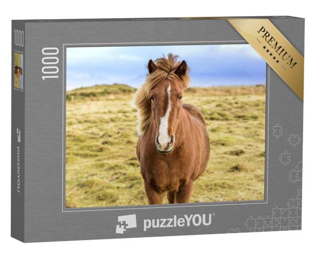 Puzzel 1000 stukjes „IJslandse pony in het wild“