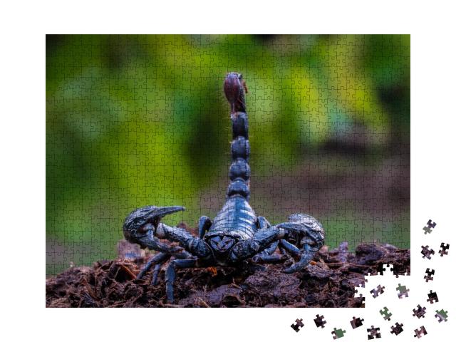 Puzzle 1000 Teile „Schwarzer Ork-Skorpion, der tödliche Riesenskorpion“