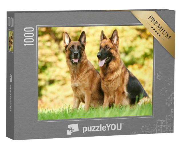 Puzzel 1000 stukjes „Twee Duitse Herders zittend in het gras“