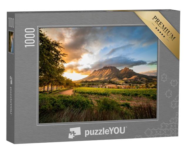 Puzzel 1000 stukjes „Stellenbosch wijngebied met uitzicht op de Simonsberg, Zuid-Afrika“