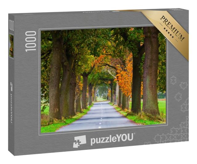 Puzzle 1000 Teile „Herbstliche Baumallee im Lieper Winkel, Usedom, Deutschland“