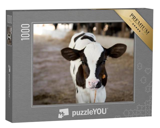 Puzzel 1000 stukjes „Nieuwsgierig kalfje“