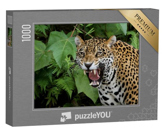 Puzzel 1000 stukjes „Jaguar in het Amazonewoud“