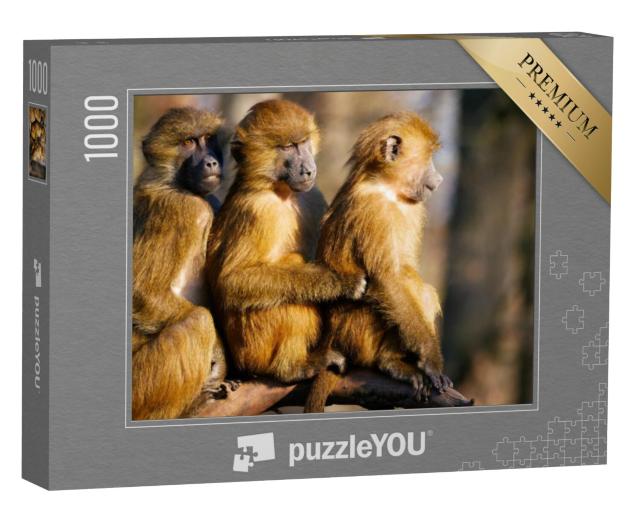 Puzzel 1000 stukjes „Baviaan familie“