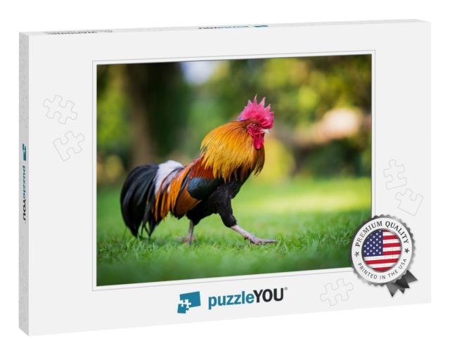 Beautiful Rooster Standing on the Grass in Blurred Nature... Jigsaw Puzzle
