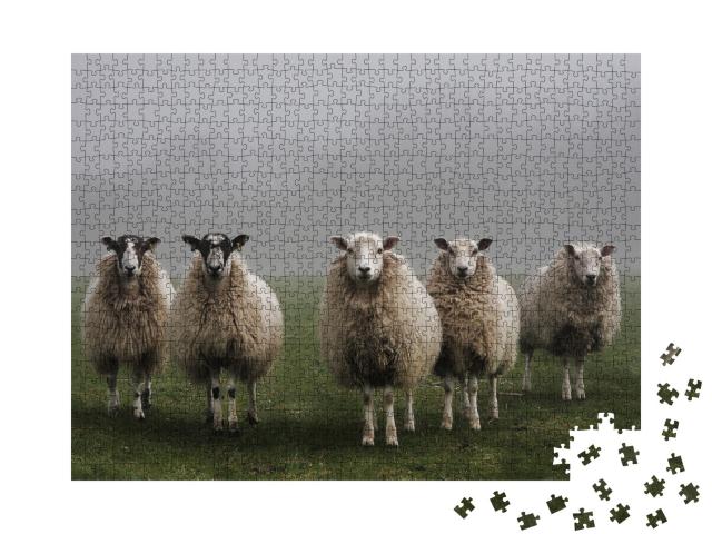 Puzzle 1000 Teile „Fünf Schafe auf einem Feld an einem nebligen Morgen in Dorset“