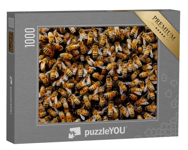 Puzzel 1000 stukjes „Een bijenkolonie verzamelt zich rond haar koningin“