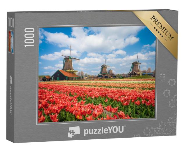 Puzzel 1000 stukjes „Prachtig landschap met tulpen en windmolens in Zaanse Schans, Nederland“