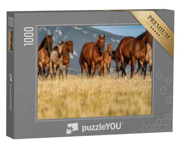 Puzzel 1000 stukjes „Kudde quarter horses op een grasvlakte voor de Pryor Mountains, Montana“