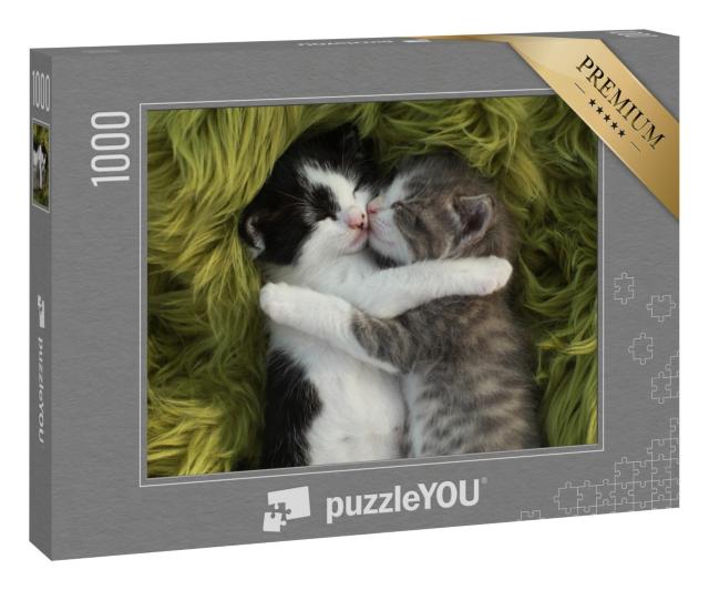 Puzzle 1000 Teile „Zwei kuschelige Kätzchen“