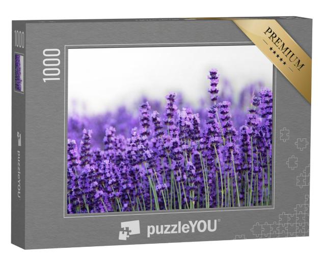 Puzzel 1000 stukjes „Lavendel“