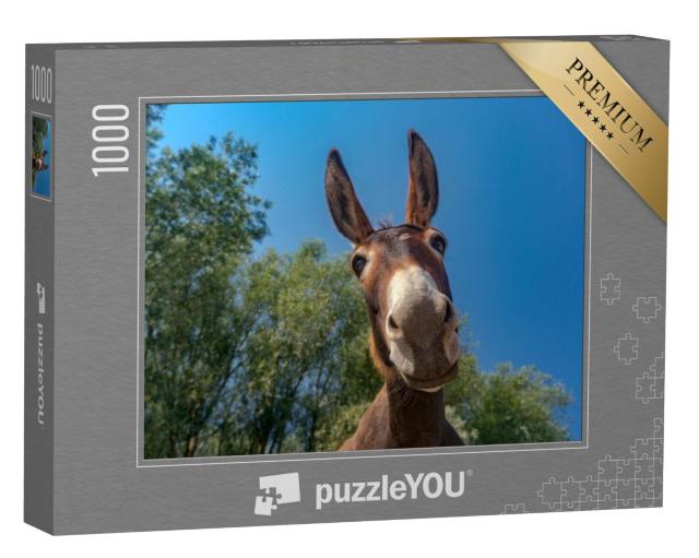 Puzzel 1000 stukjes „Close-up van een ezelskop“