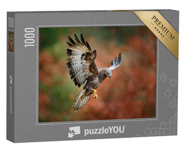 Puzzel 1000 stukjes „Majestueuze buizerd die landt“