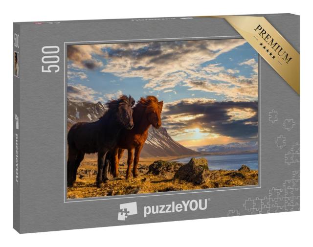 Puzzle 500 Teile „Zwei Island-Pferde an der Küste im Sonnenuntergang“