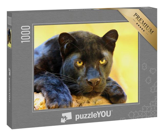 Puzzle 1000 Teile „Der Leopard, auch als schwarze Panther bezeichnet“