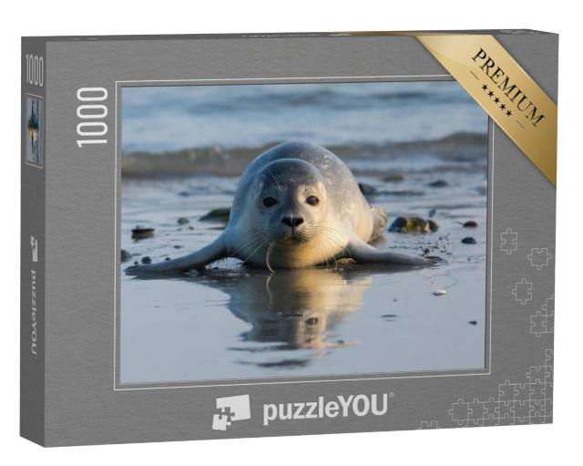 Puzzel 1000 stukjes „Zeehondenpup op het strand van Helgoland“