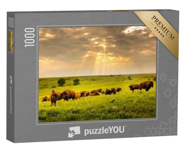 Puzzel 1000 stukjes „Bizonkudde zwerft door Kansas“