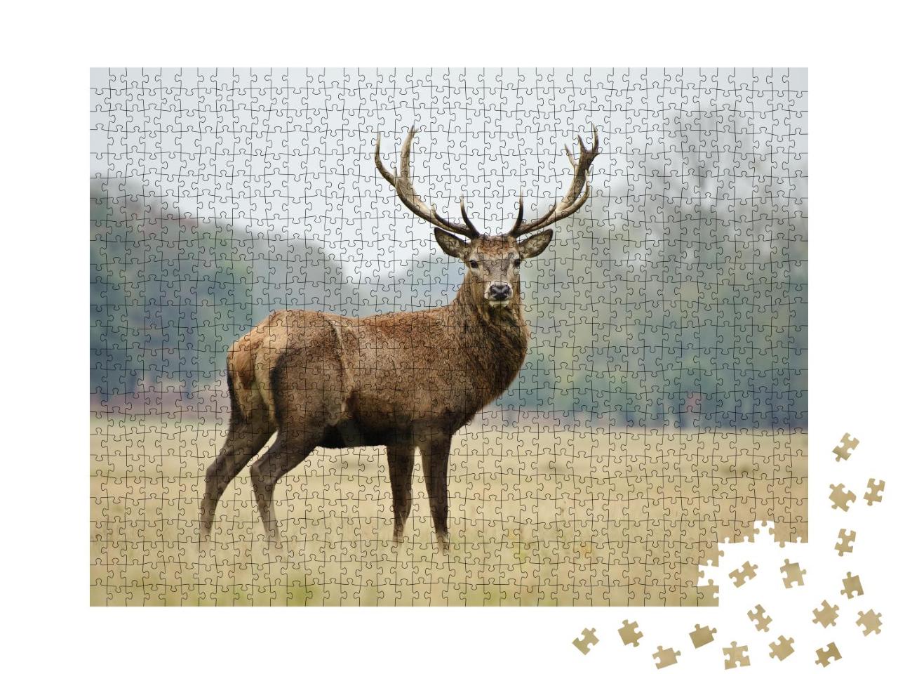 Puzzle 1000 Teile „Porträt eines stolzen Rothirsches im herbstlichen Wald“