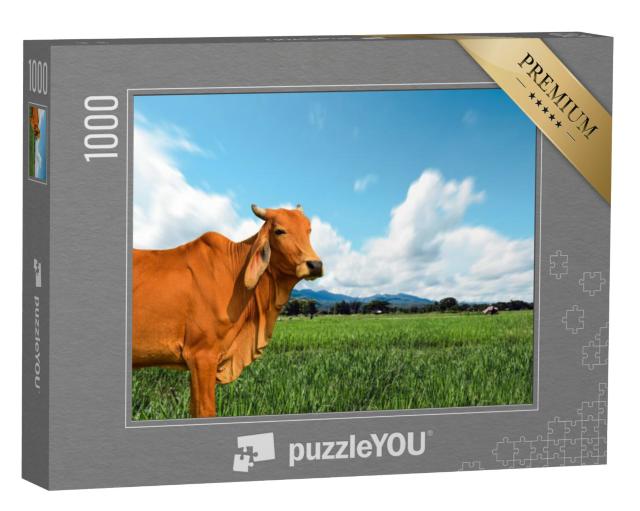 Puzzel 1000 stukjes „Koe op een weelderige groene weide“