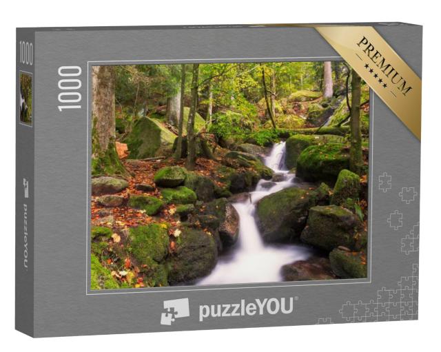 Puzzel 1000 stukjes „Gertelsbach watervallen in de herfst, Zwarte Woud, Duitsland“