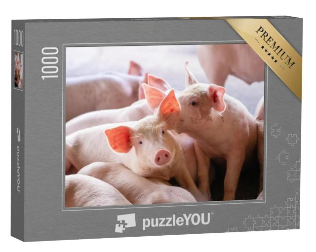 Puzzel 1000 stukjes „Biggen op de boerderij“