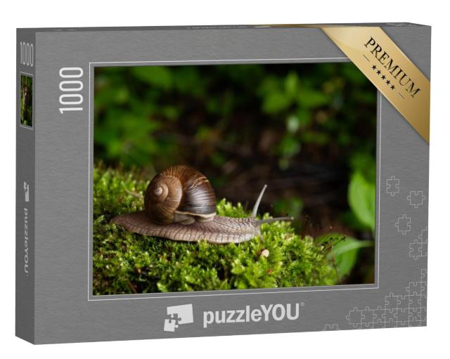 Puzzel 1000 stukjes „Slak in zijn natuurlijke omgeving“