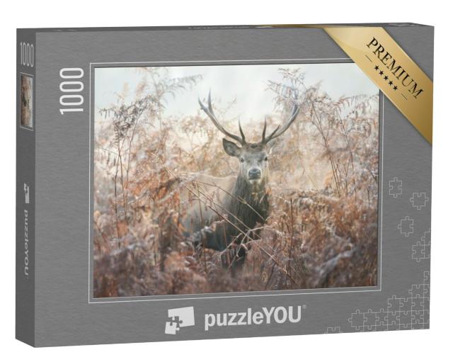 Puzzel 1000 stukjes „Portret van een edelhert op een mistige herfstochtend“