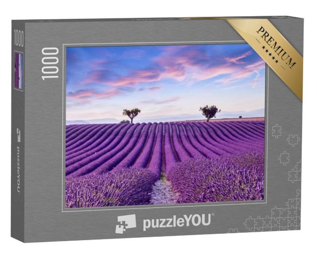 Puzzel 1000 stukjes „Lavendelveld in de zomer, Frankrijk, Provence“