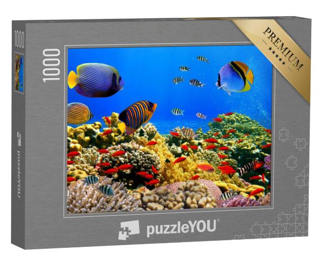 Puzzel 1000 stukjes „Koraalkolonie op een rif in de Rode Zee“