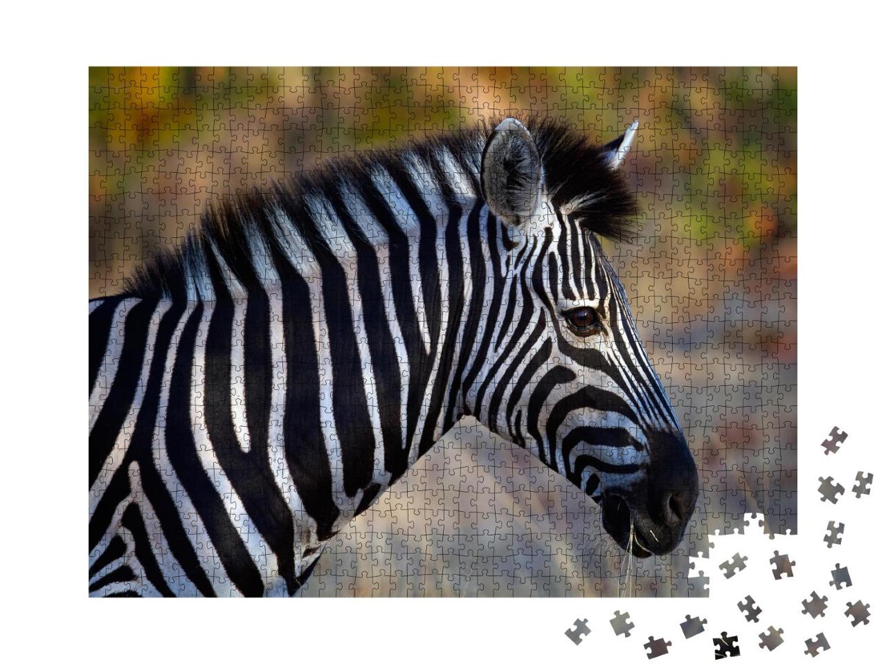 Puzzle 1000 Teile „Seiten-Porträt eines Zebras“