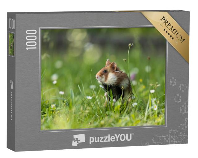 Puzzel 1000 stukjes „Veldhamster op een groene weide met bloemen“