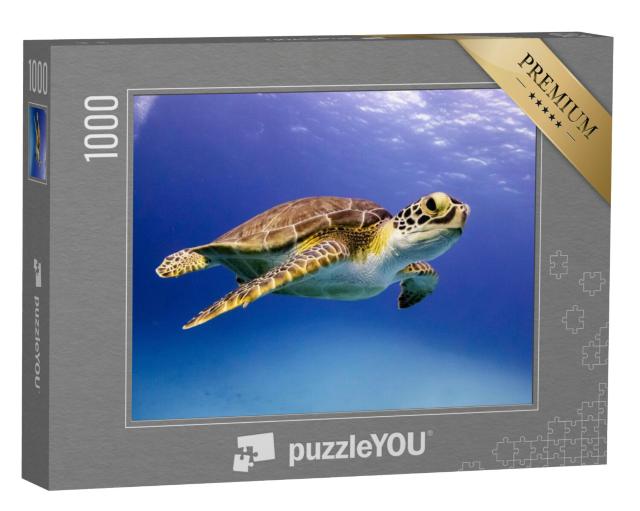 Puzzel 1000 stukjes „Jonge karetschildpad zwemmend, Bahama's“