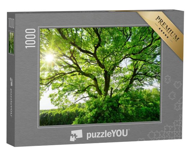 Puzzel 1000 stukjes „Majestueuze oude boom in het zonlicht“