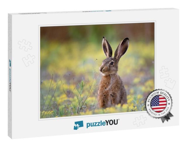 European Hare Stands in the Grass & Looking At the Camera... Jigsaw Puzzle