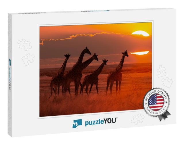 Moody Sunset in African Savanna with a Giraffe Herd, Conc... Jigsaw Puzzle