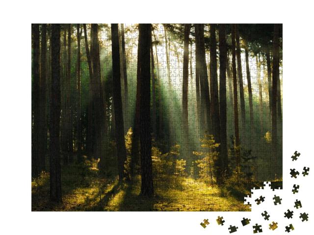 Puzzle 1000 Teile „Sonnenstrahlen im Wald, Harz, Deutschland“