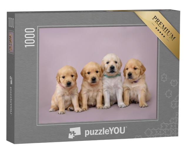 Puzzel 1000 stukjes „Vier kleine Golden Retrieve puppies“