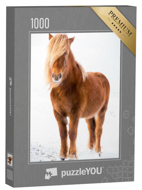 Puzzel 1000 stukjes „IJslands paard in de sneeuw“