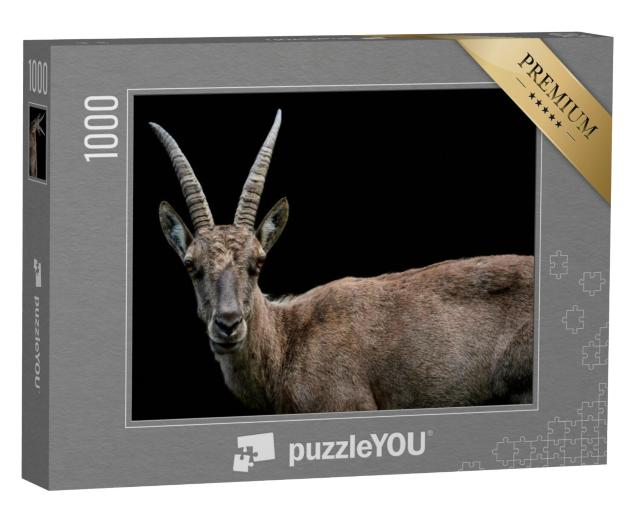 Puzzel 1000 stukjes „Close-up van een vrouwelijke alpensteenbok“